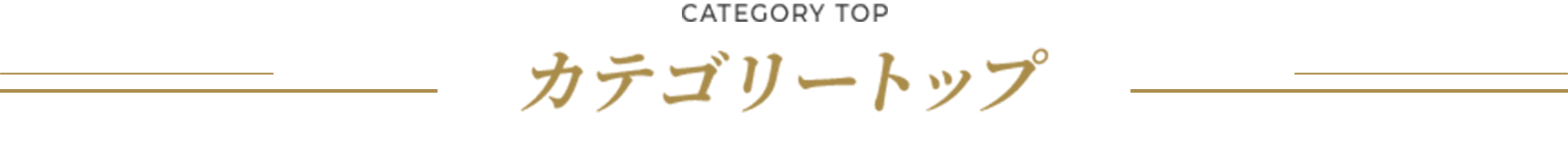 カテゴリートップ
